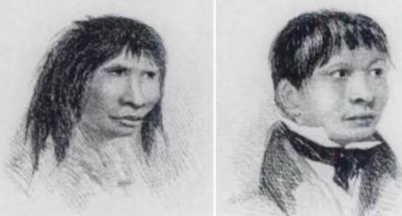 Desenhos feitos de Jemmy Button pelo capitão do Beagle, FitzRoy. Ele levou Button e outros 3 Yaghan para Londres ao final de sua primeira viagem e os trouxe de volta, um ano mais tarde, na mesma viagem em que veio o jovem Darwin